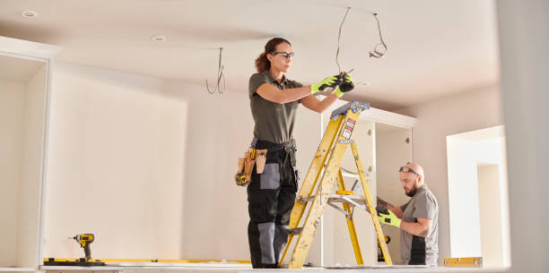 Best Electric Panel Repair  in Detroit, MI