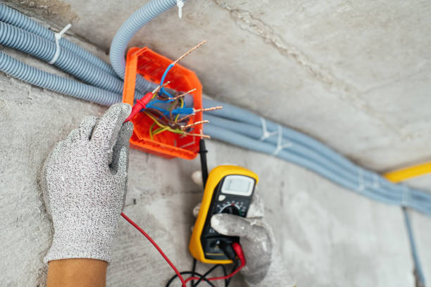 Best Electrical System Inspection  in Detroit, MI